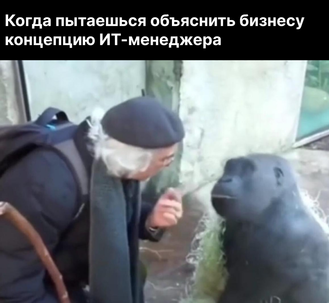 «Принеси‑подай, отвали и не мешай»: что такое агентность и почему менеджеру её не хватает - 1